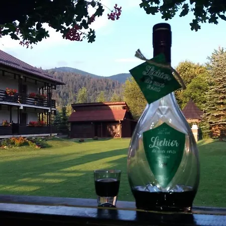 Pensiunea Irina * Vama (Suceava)
