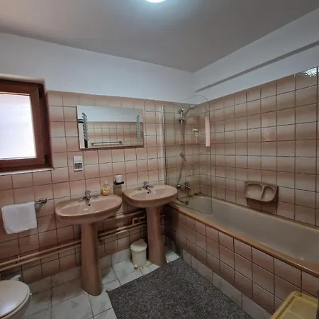 Pensiunea Irina Vama (Suceava)