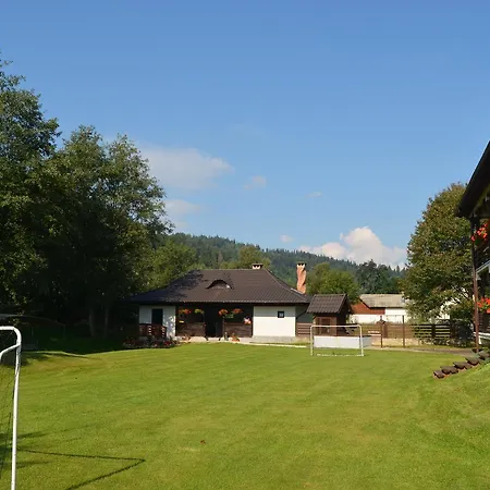 Pensiunea Irina Guest house