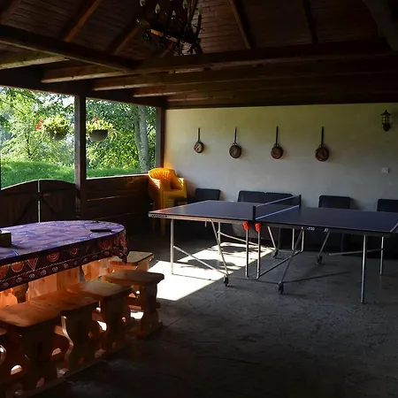 Pensiunea Irina Guest house *
