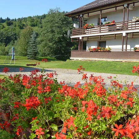 Pensiunea Irina Guest house *